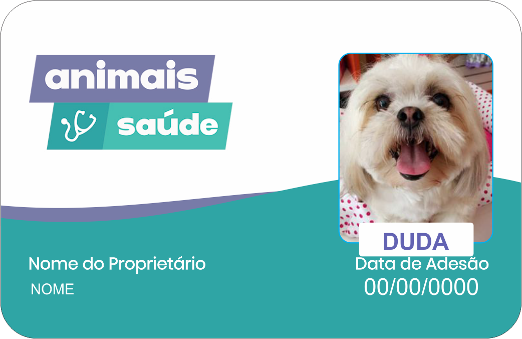 Por que Você Deve Usar Carteirinhas em PVC em seu Negócio? Por que Você Deve Usar Carteirinhas em PVC em seu Negócio?